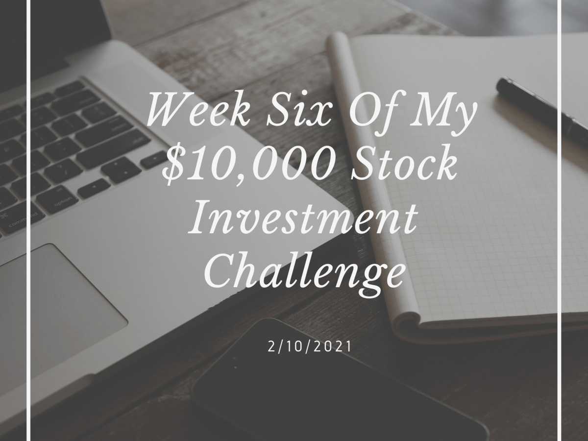 Week Six Stock&nbsp;Investment.